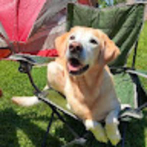 Meet your Posher, Kira